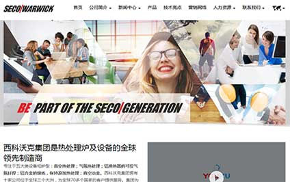 中文网站建设及英文网站日本镜像--品牌网站建设